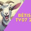 TV07 : Bêtisier 2024